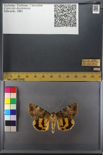 Media type: image;   Entomology 749323